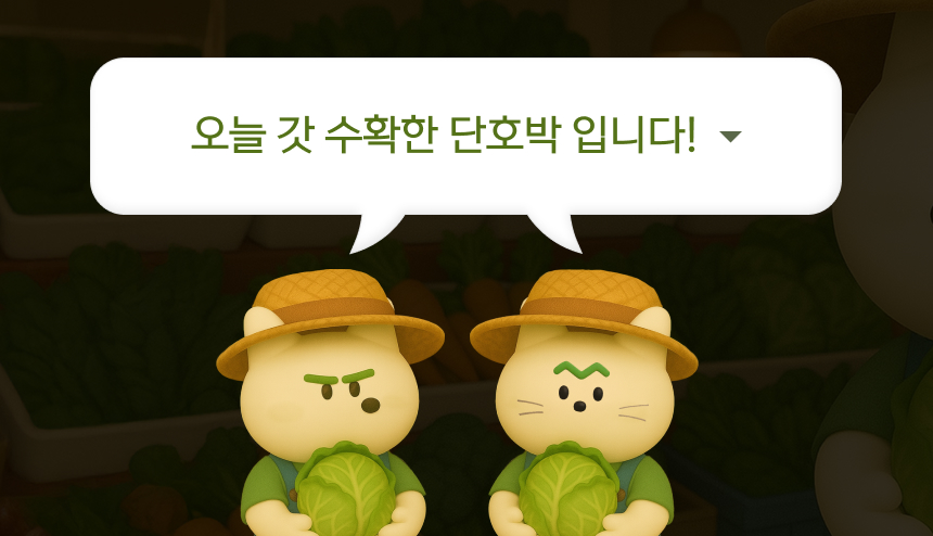 [NEW신상][무료배송] 퍼리타운 독 동결건조 단호박 30g 4번째