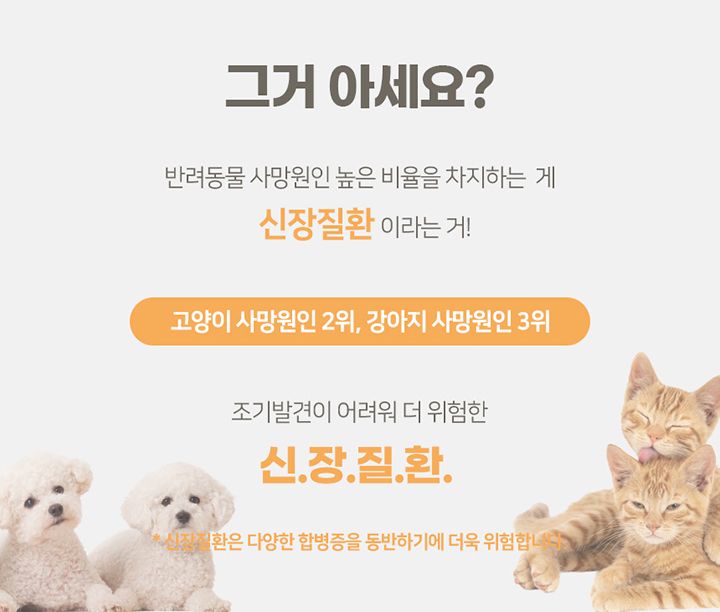 [무료배송] [2개] 꼬잇 미리해요 소변검사키트 4번째