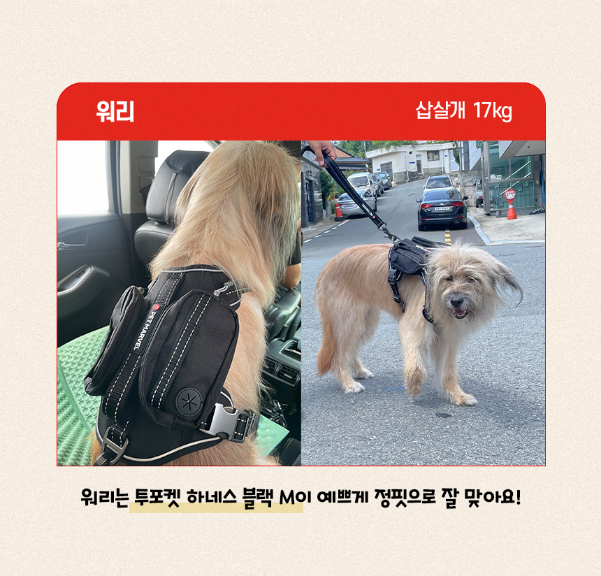 [NEW신상][무료배송] 펫마블 투포켓 하네스 대형견 앞섬방지 가슴줄 7번째
