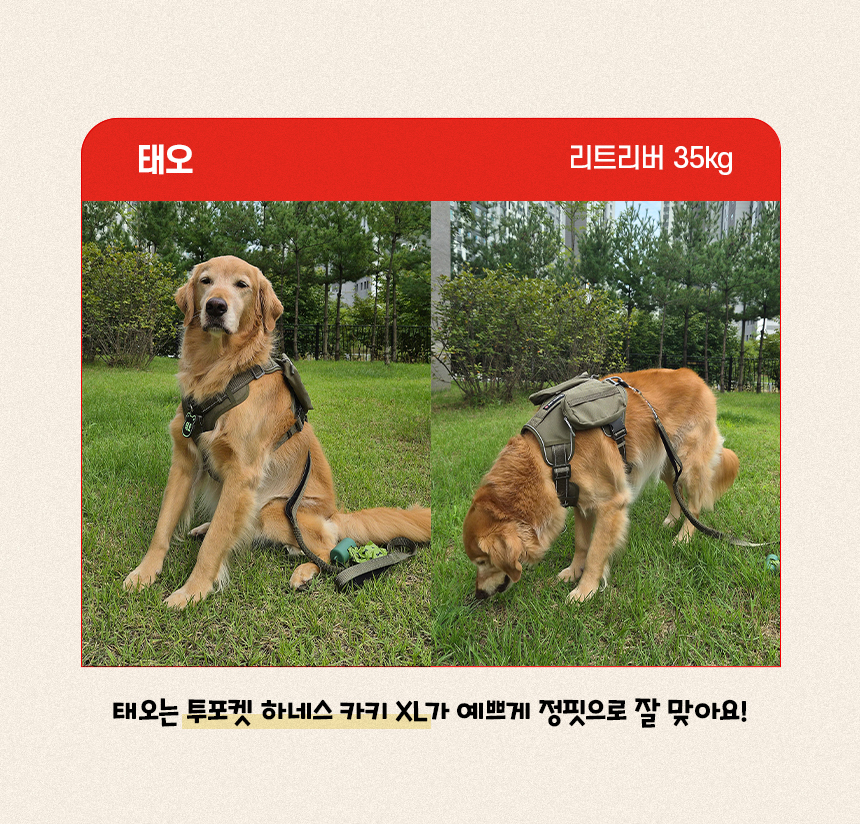 [NEW신상][무료배송] 펫마블 투포켓 하네스 대형견 앞섬방지 가슴줄 4번째