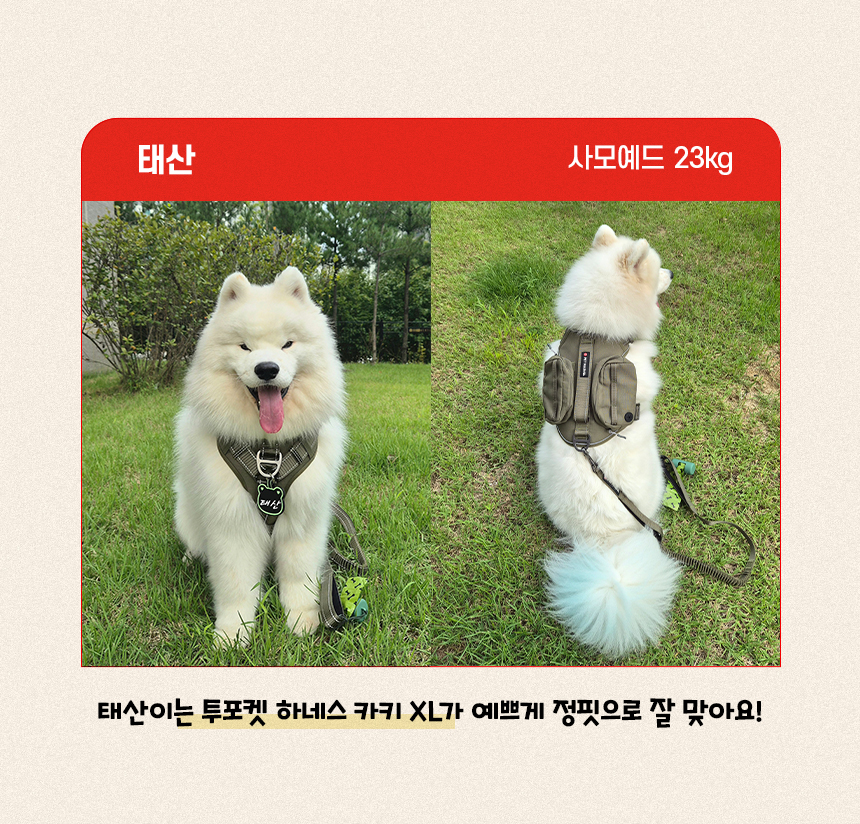 [NEW신상][무료배송] 펫마블 투포켓 하네스 대형견 앞섬방지 가슴줄 2번째