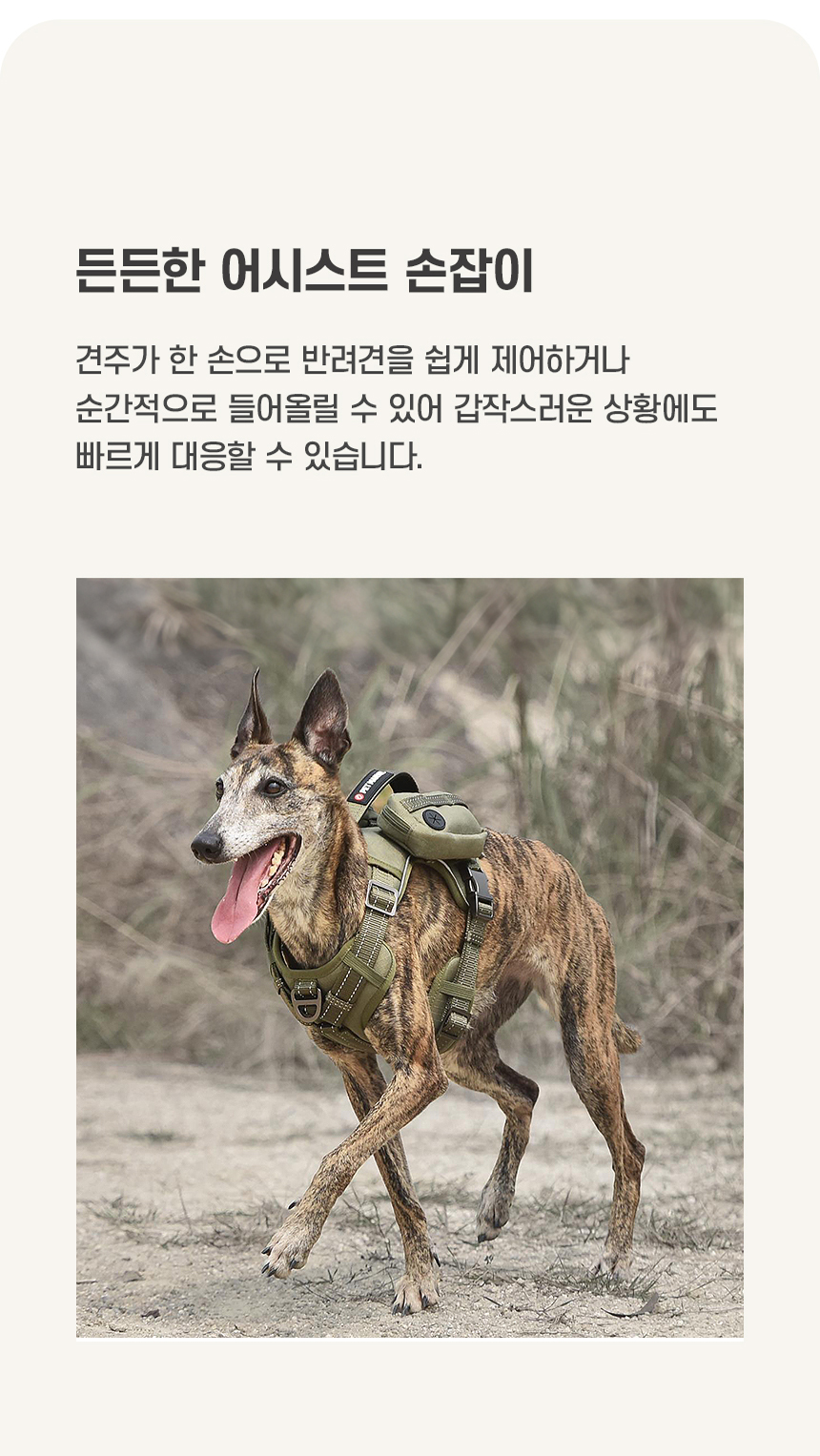 [NEW신상][무료배송] 펫마블 투포켓 하네스 대형견 앞섬방지 가슴줄 10번째