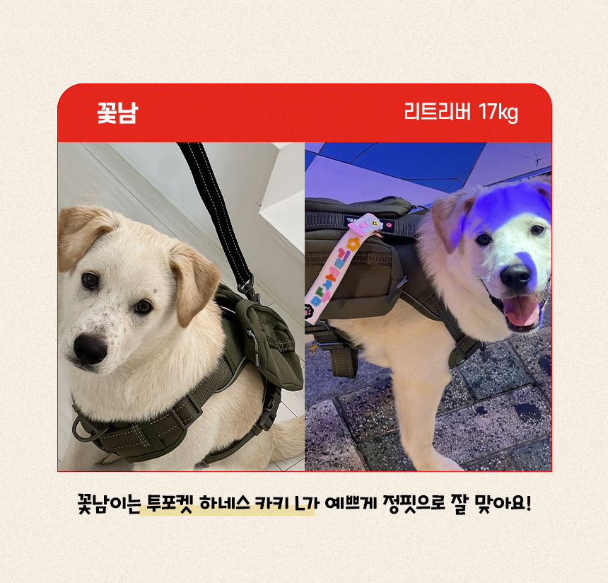 [NEW신상][무료배송] 펫마블 투포켓 하네스 대형견 앞섬방지 가슴줄 6번째