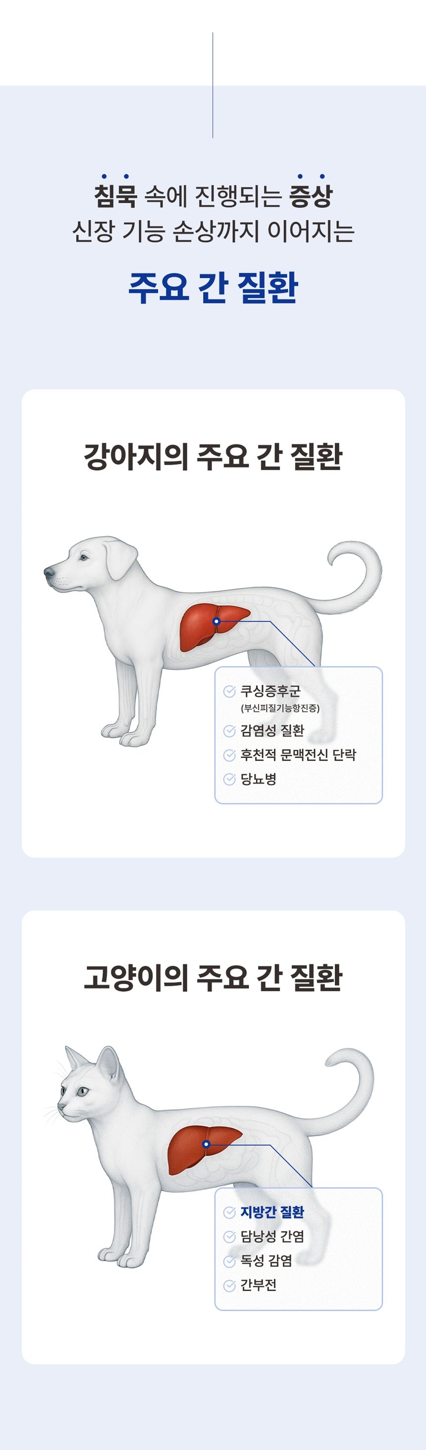[무료배송] 브랜바인 간 기능 개선 밀크시슬 영양제 60ml  7번째