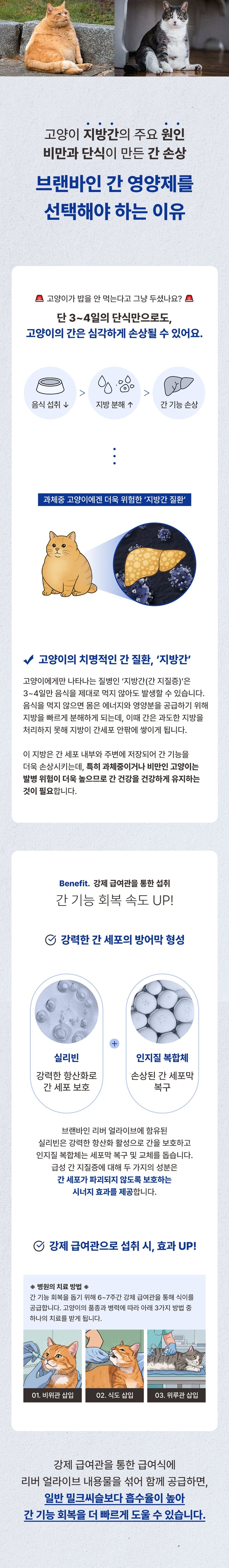 [무료배송] 브랜바인 간 기능 개선 밀크시슬 영양제 60ml  8번째