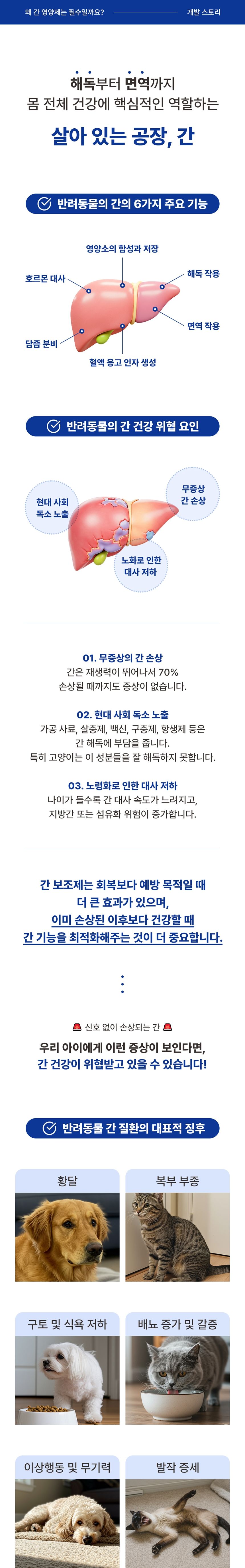 [무료배송] 브랜바인 간 기능 개선 밀크시슬 영양제 60ml  6번째