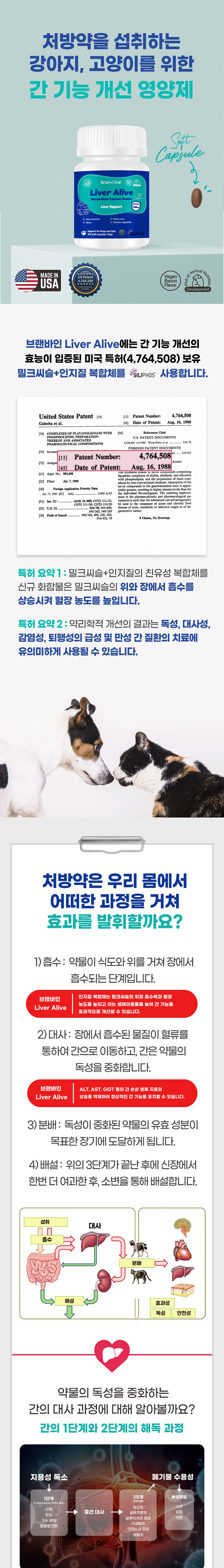 [무료배송] 브랜바인 간 기능 개선 밀크시슬 영양제 100캡슐 (최대 3개월분) 3번째