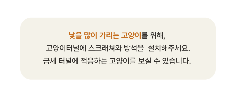 [NEW신상][무료배송] 큐빅스펫 거실장 터널 캣타워 3X1 + 커버 세트 6color  +스크래쳐1장 포함 28번째