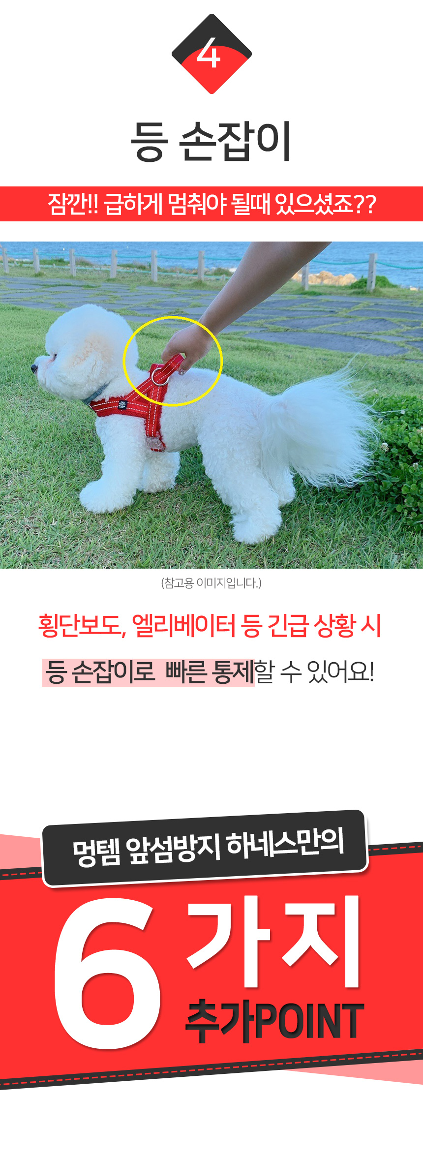 [무료배송] 멍템 앞섬방지 하네스 메쉬 리드줄 세트 1.5m 2.5m XXS-XL 14번째