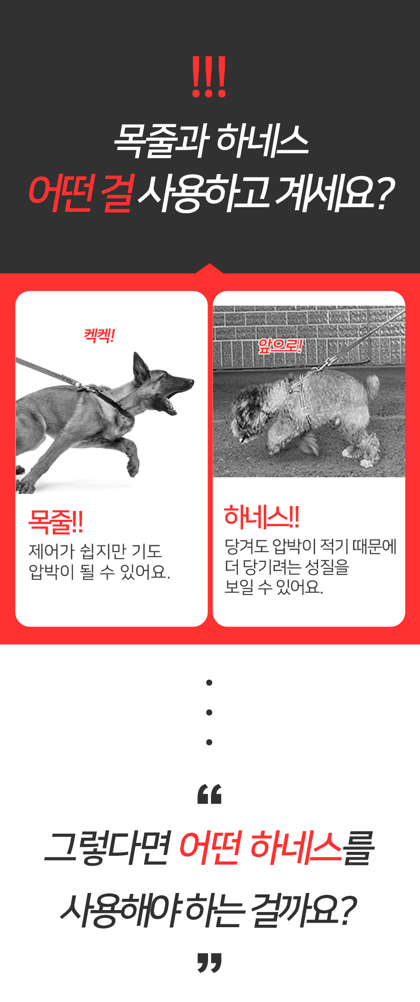 [무료배송] 멍템 앞섬방지 하네스 메쉬 리드줄 세트 1.5m 2.5m XXS-XL 7번째