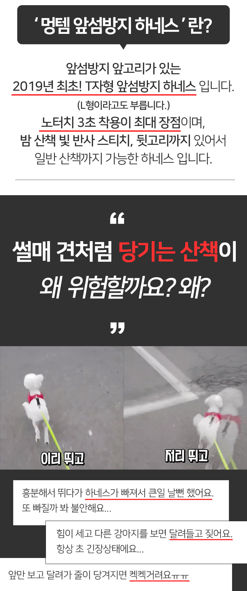 [무료배송] 멍템 앞섬방지 하네스 메쉬 리드줄 세트 1.5m 2.5m XXS-XL 6번째