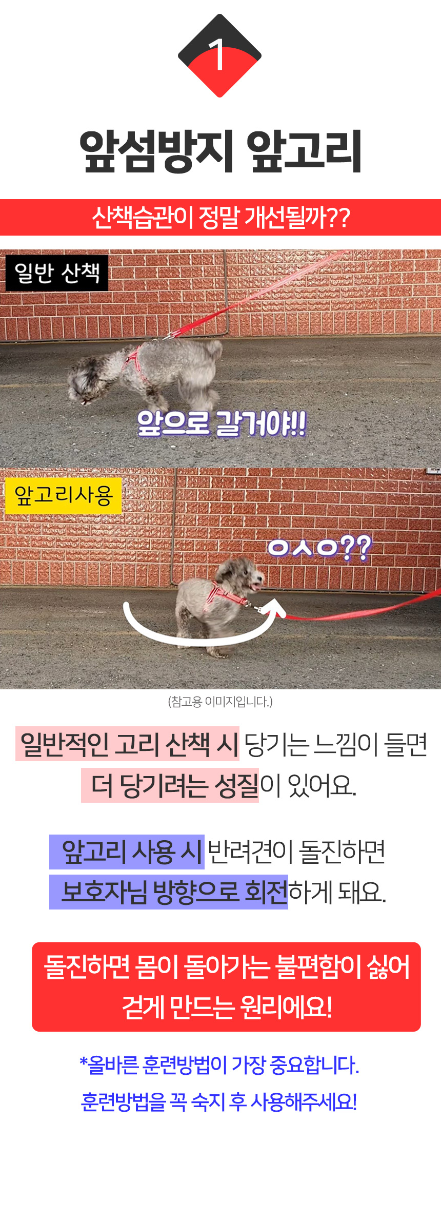 [무료배송] 멍템 앞섬방지 하네스 메쉬 리드줄 세트 1.5m 2.5m XXS-XL 10번째