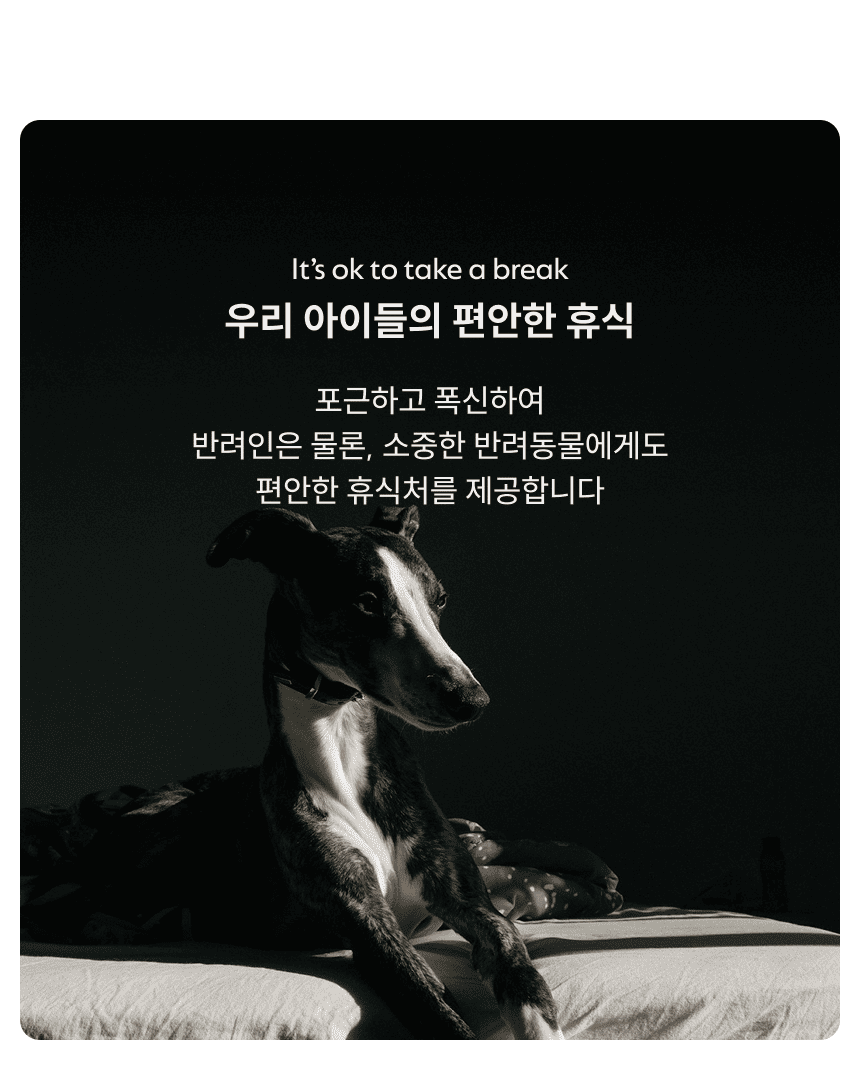 [체험단] [무료배송] 체고케어 위브 사이잘룩 방수러그 문 그레이 50x150 26번째