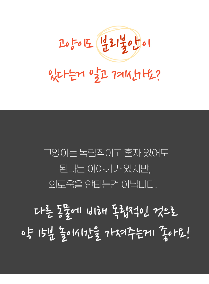 [무료배송] 펫토리아 르칙 캣 텀블러 고양이 장난감 [모음] 19번째