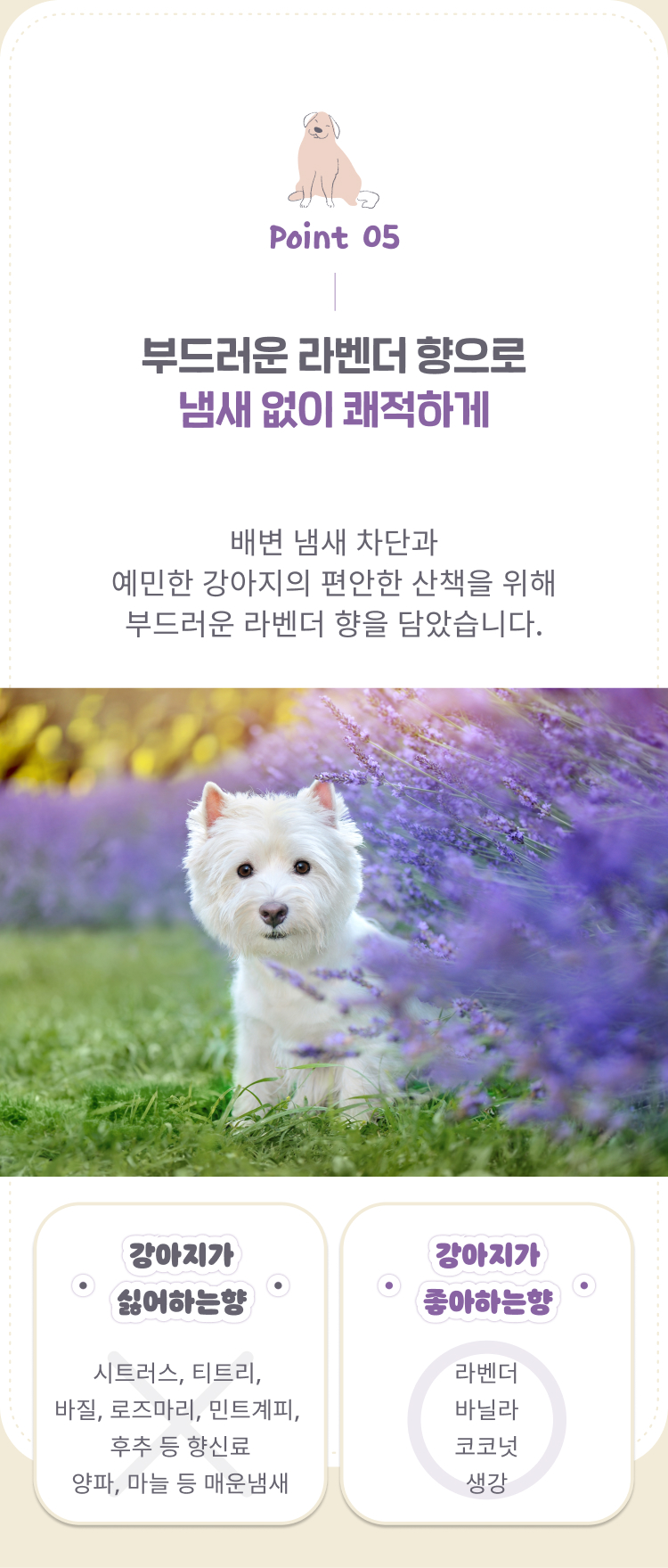 [NEW신상]네오핏 레츠고 풉백 라벤더향 240매 10번째