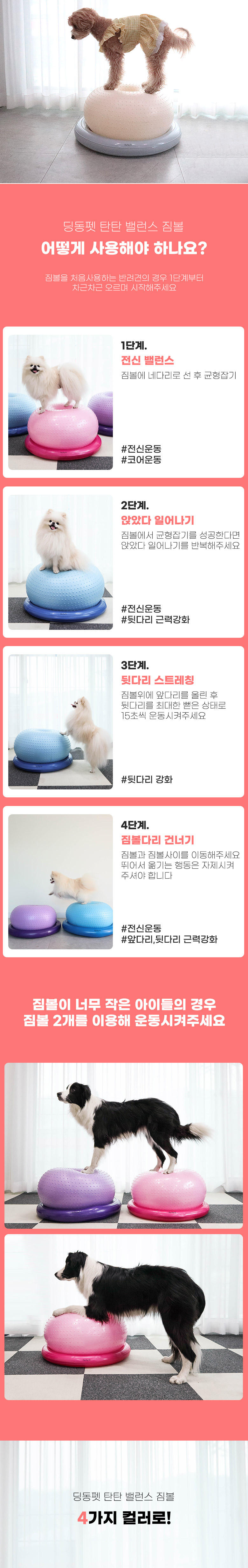 [무료배송] 딩동펫 반려동물 탄탄 밸런스 짐볼 4번째
