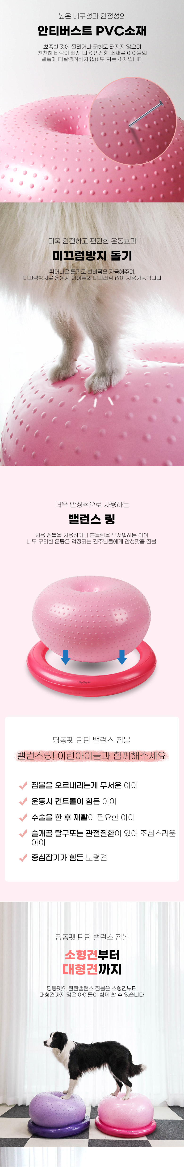 [무료배송] 딩동펫 반려동물 탄탄 밸런스 짐볼 3번째