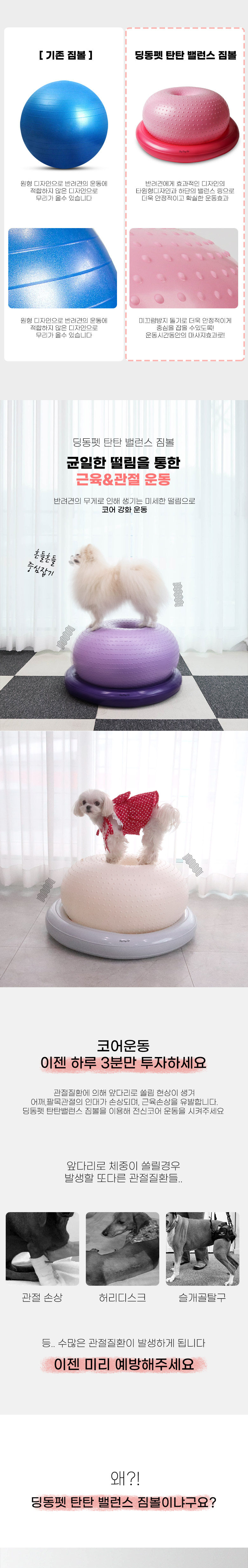 [무료배송] 딩동펫 반려동물 탄탄 밸런스 짐볼 2번째