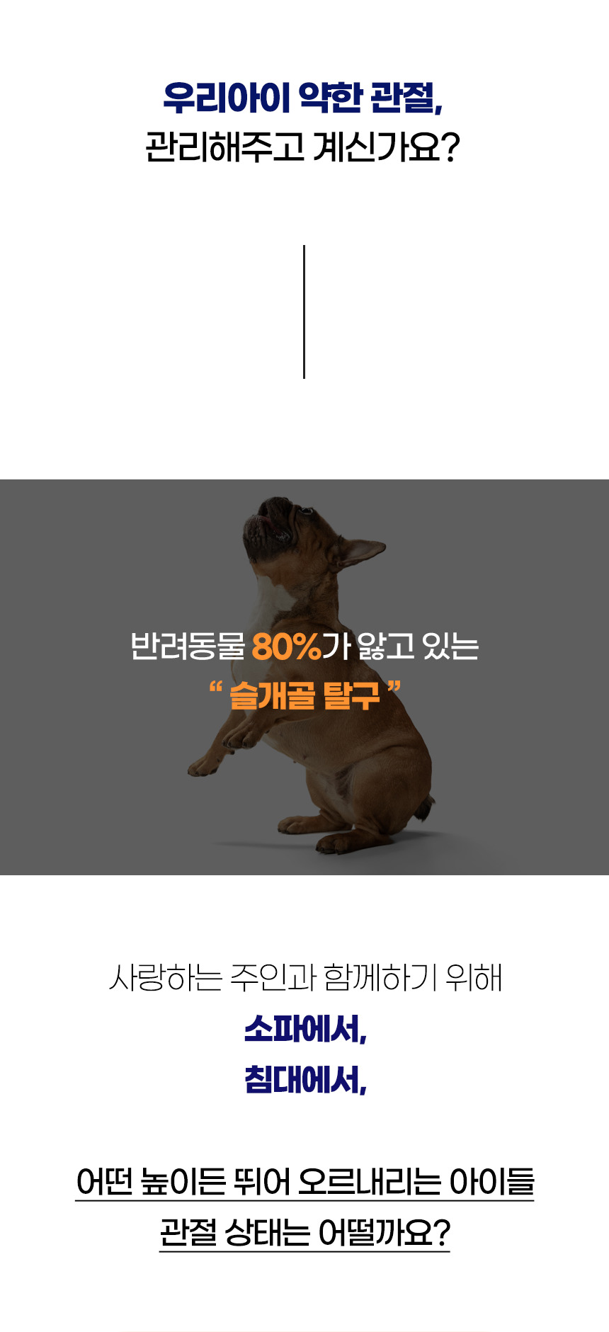 [NEW신상][무료배송] 개과천선 독 리티 펫스텝 계단 (아이보리/그레이) 2번째