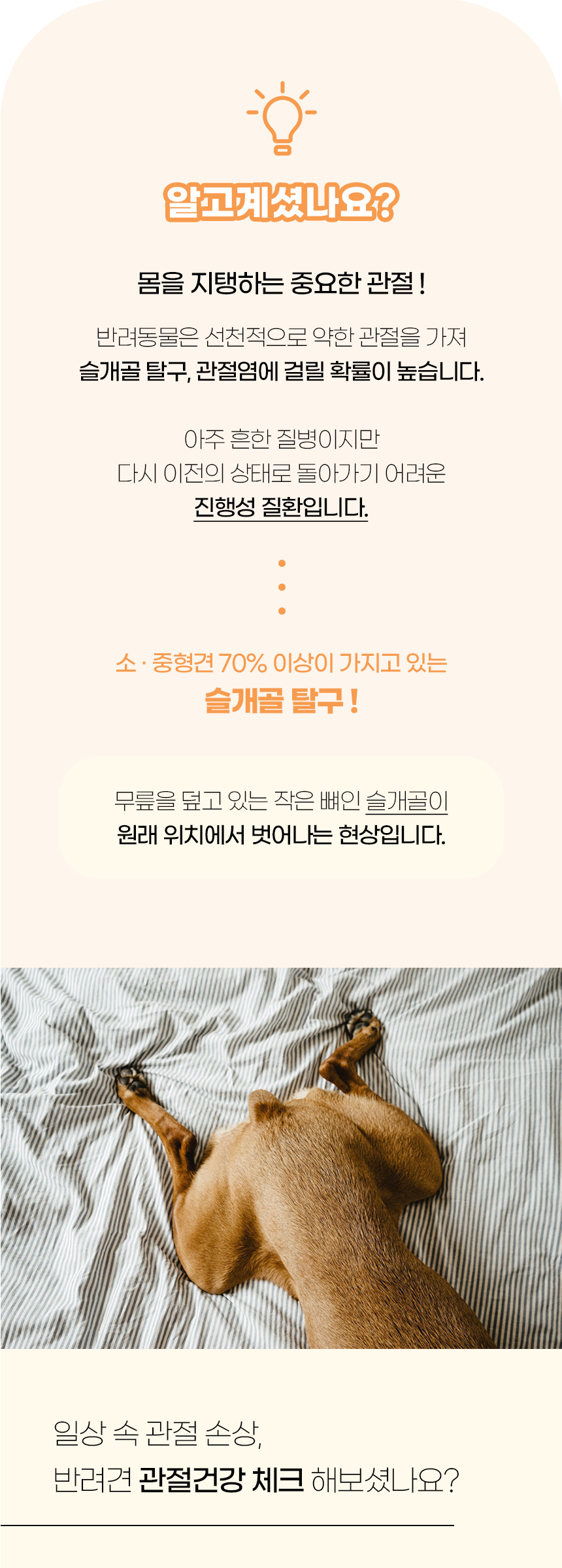 [NEW신상][무료배송] 개과천선 독 리티 펫스텝 계단 (아이보리/그레이) 3번째
