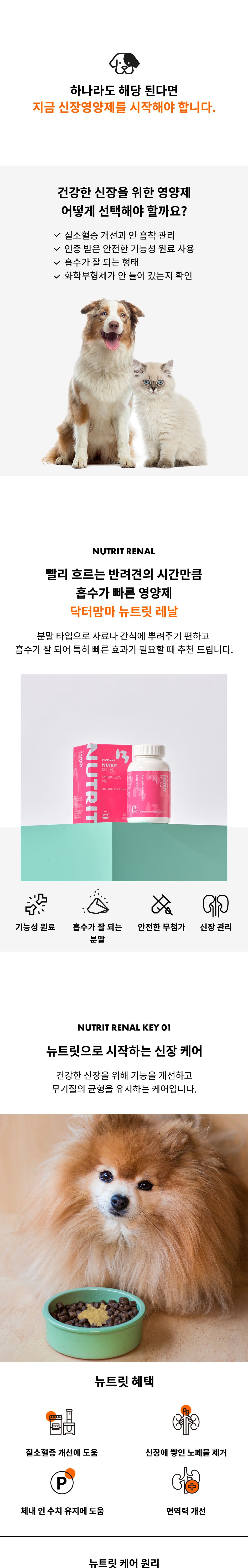 닥터맘마 독 뉴트릿 레날 신장영양제 분말형 60g 3번째