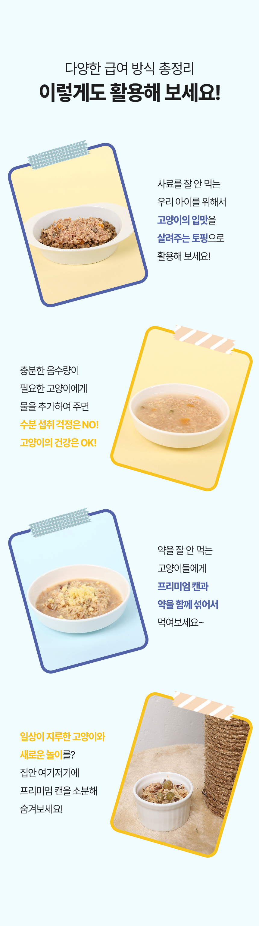 [NEW신상][무료배송] [24개] 한캔뚝딱 프리미엄 영양특식 고양이캔 산해진미 5종 콤보 85g 19번째