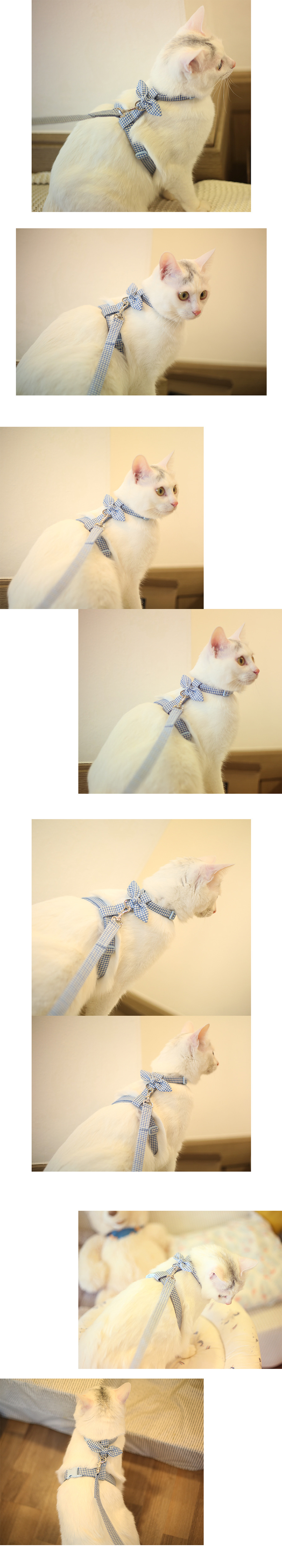 [NEW신상][무료배송] 레인보우스토리 캣 전용 체크 리본 하네스 6종 3번째