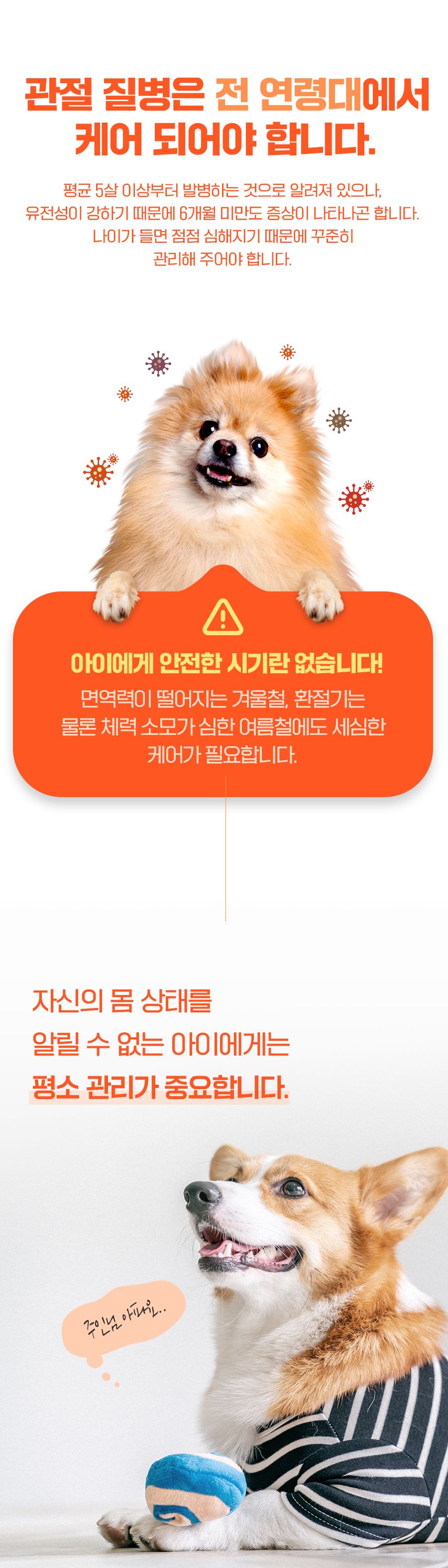 [유통기한임박, 25년8월29일] 마이펫닥터 시몬 조인트 60g 3번째