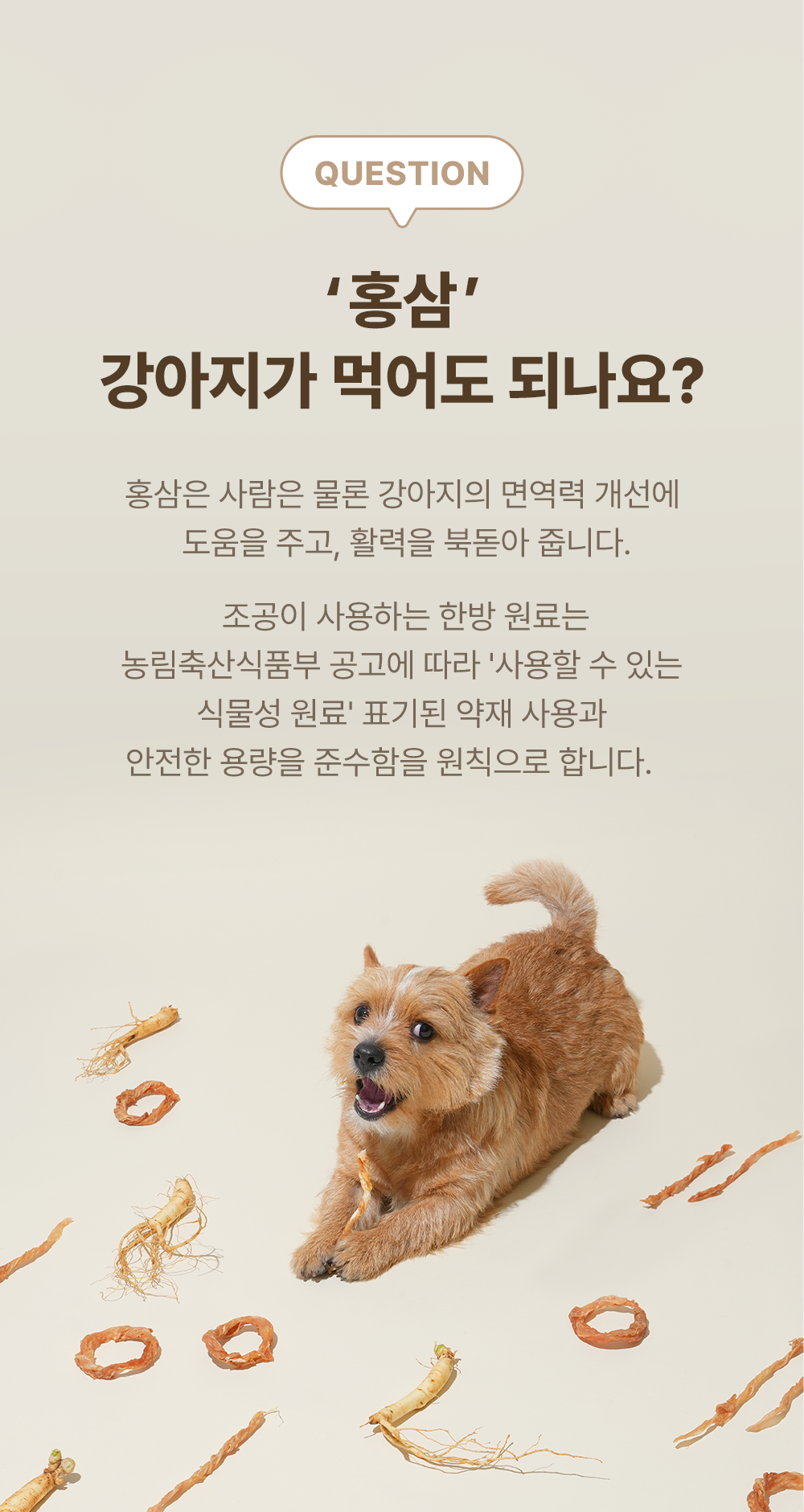 [NEW신상]조공 꿀홍삼 터키츄 스틱 30g 10번째