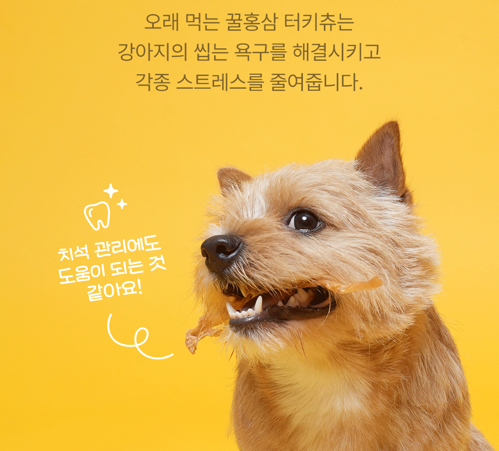 [NEW신상]조공 꿀홍삼 터키츄 스틱 30g 19번째