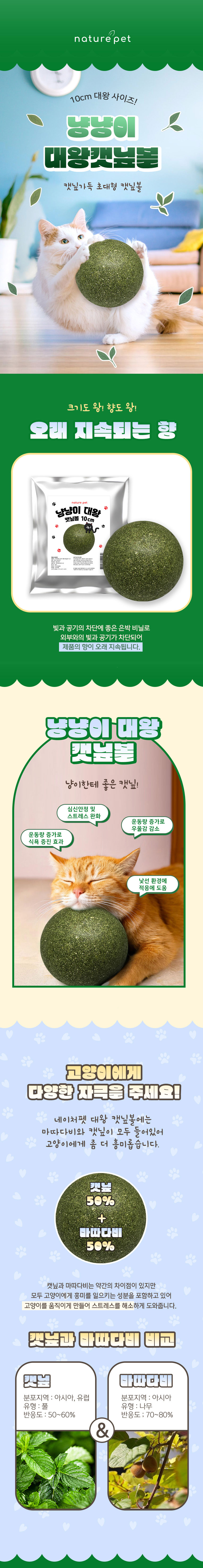[무료배송] 네이처펫 캣 대왕 캣닢볼 1번째