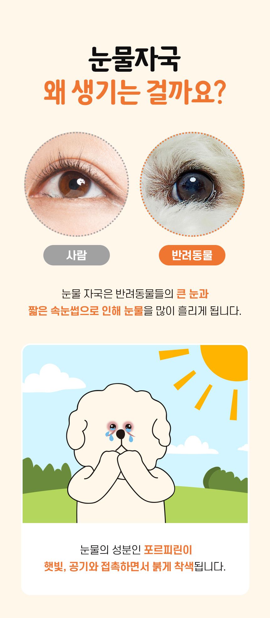 [무료배송] 리스펫 아이케어 저자극 눈세정제 120ml 3번째