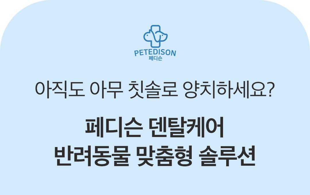 [NEW신상]페디슨 덴탈케어 스케일러 1번째