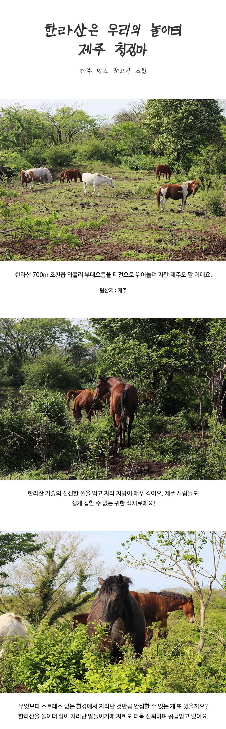 [무료배송] 어글어글 독 VALUE PACK 제주 말고기 채소 믹스 스팀 100g*5개입 2번째