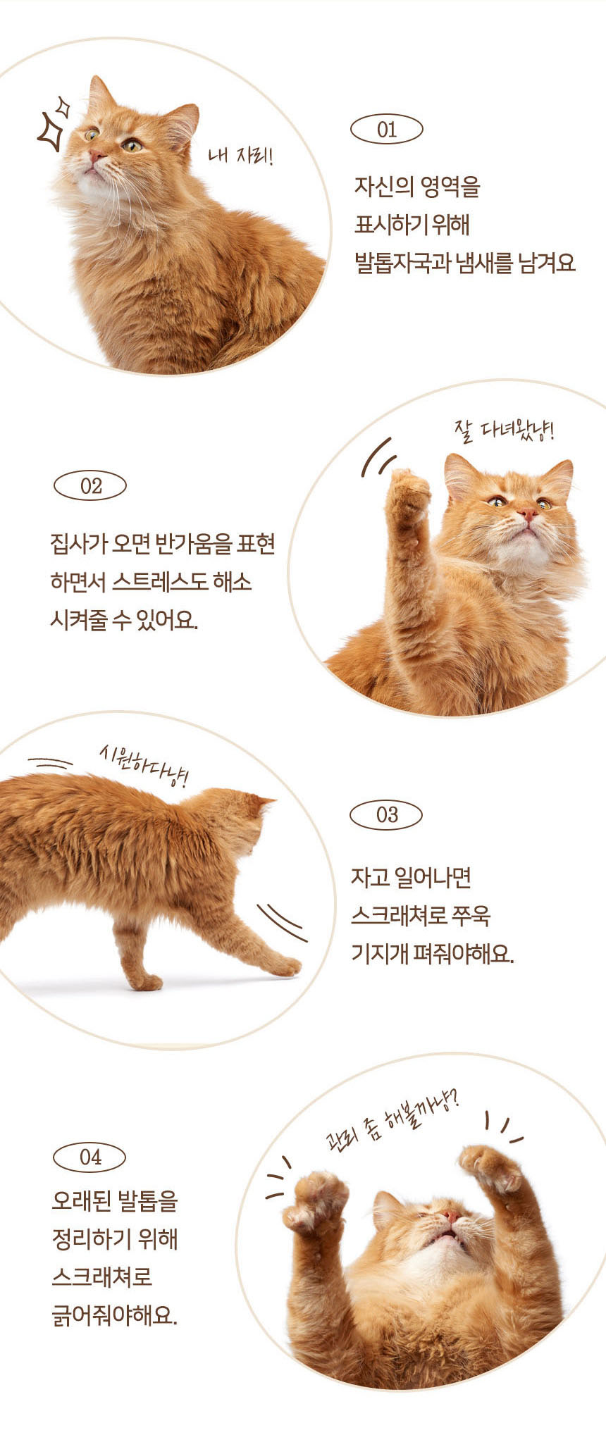 [무료배송] 펫토리아 GP 삼베 코코넛 수직 원목 스크래쳐 4번째