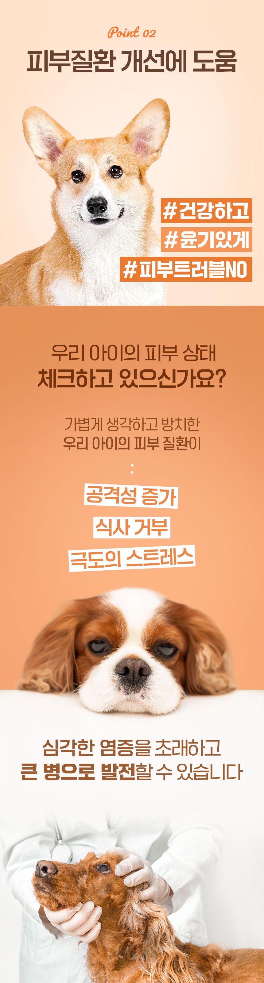 [무료배송] 맘앤대디 독 그레인프리 연어강황 1.2kg 5번째