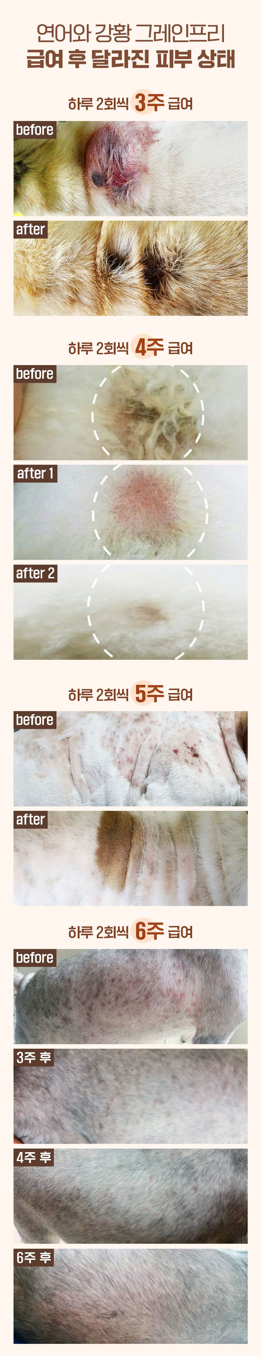 [무료배송] 맘앤대디 독 그레인프리 연어강황 1.2kg 6번째
