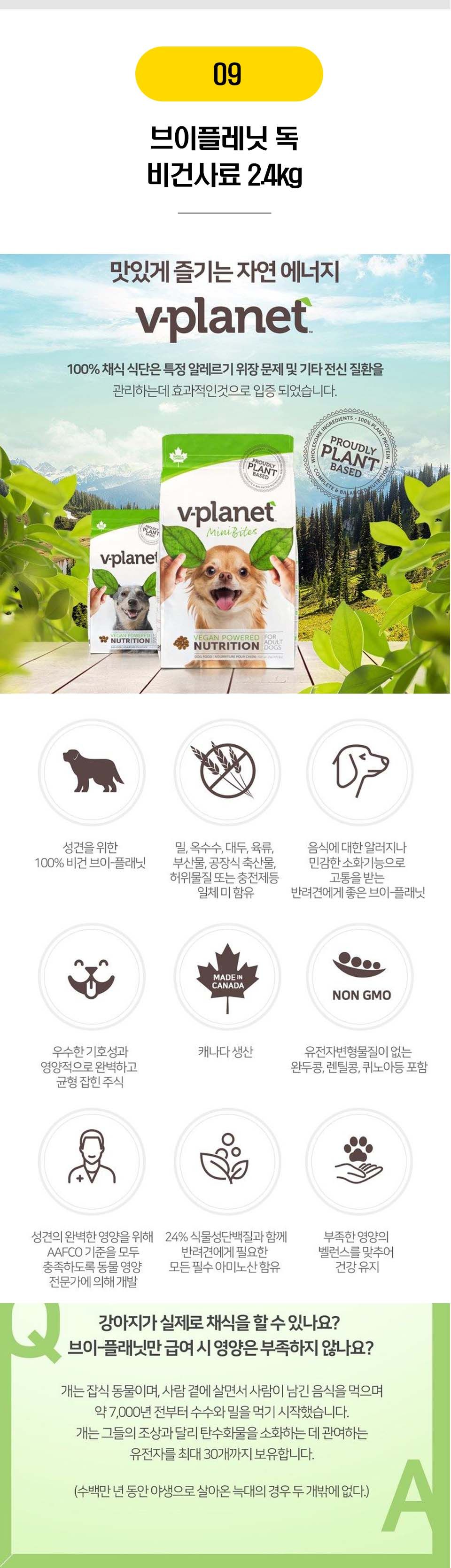 강아지 저알러지 사료 12종 [모음] 10번째
