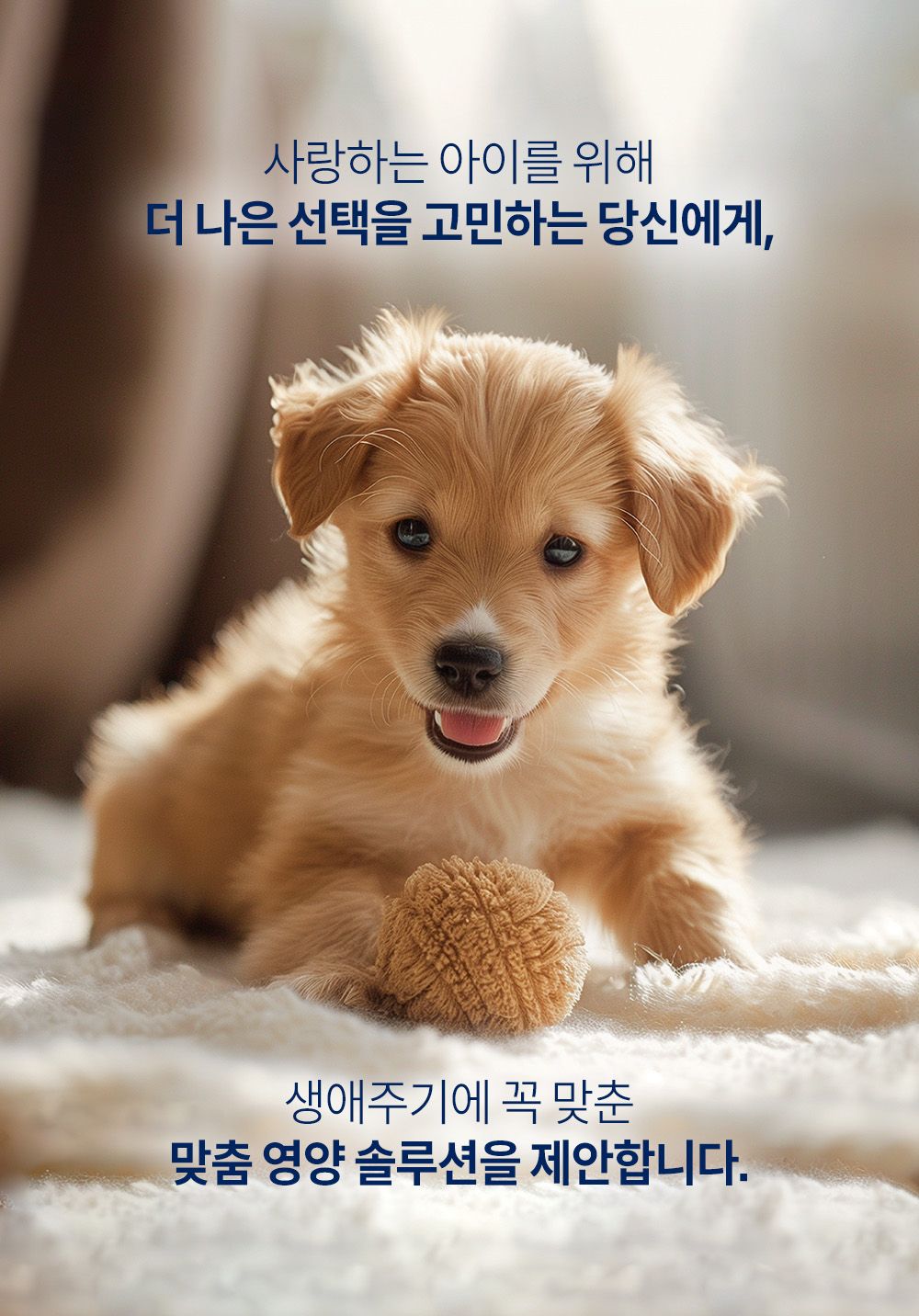 인디고 에이지뉴트리션 어덜트 10+ 포 독 1.2kg 1번째