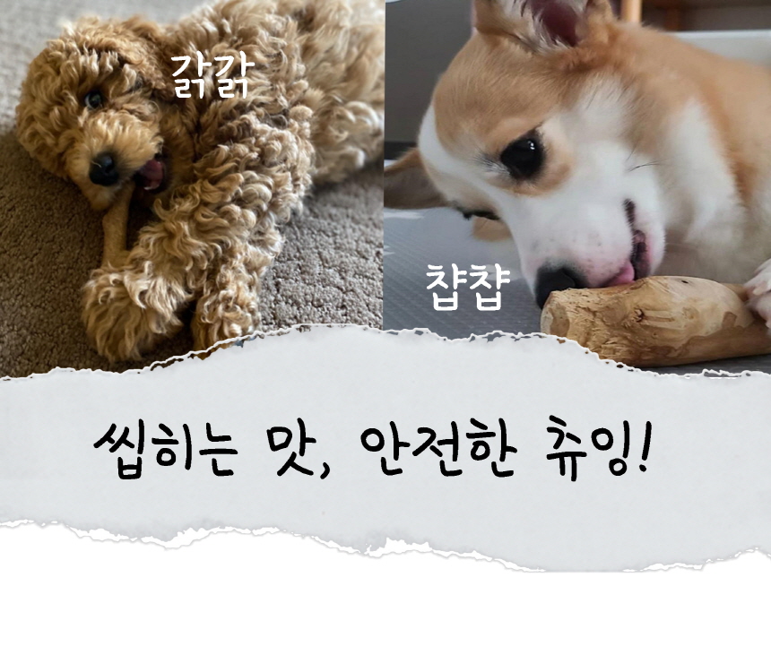 스니피즈 독 우드스틱 이갈이 장난감 XXS-M 15번째