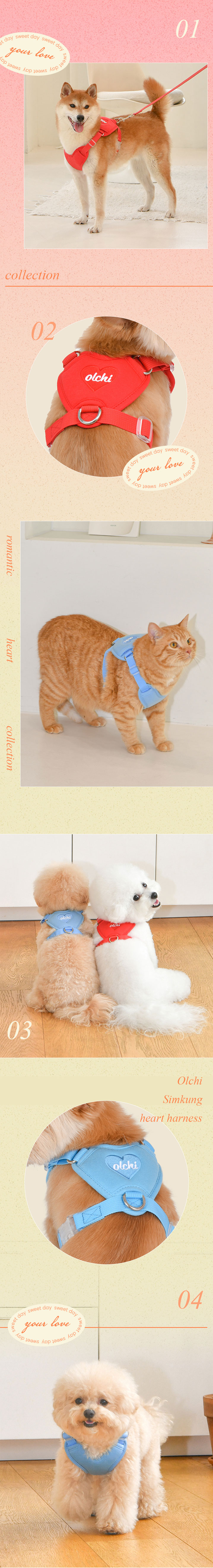 [무료배송] 올치 심쿵 하트 하네스 레드/스카이블루 S-XL 4번째