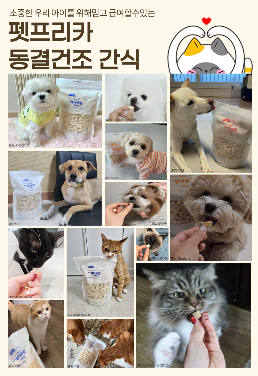 [무료배송] 펫프리카 북어 야채 트릿 160g 2번째
