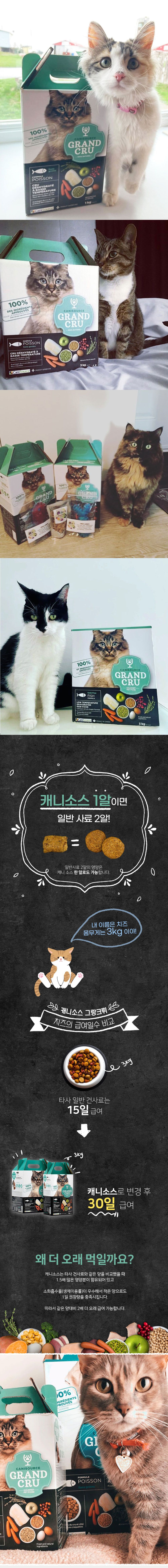 [유통기한임박, 23년2월28일] 캐니소스 캣 그랑크뤼 피시 1kg 2번째