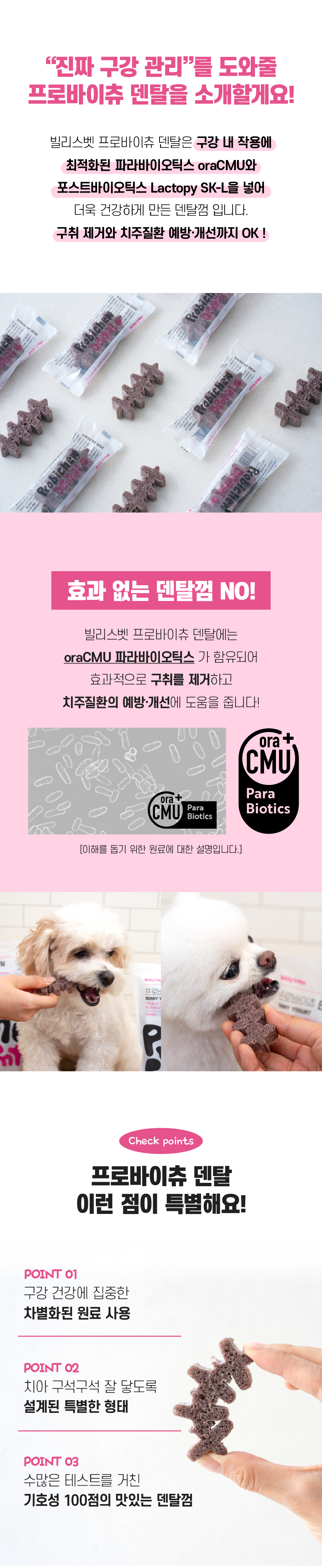 [무료배송] 빌리스벳 프로바이츄 덴탈 베리요거트 180g 2번째