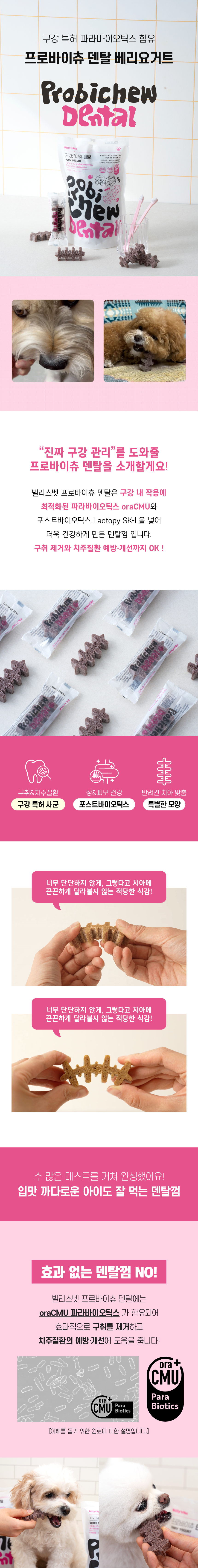 [무료배송] 빌리스벳 프로바이츄 덴탈 베리요거트 180g 2번째