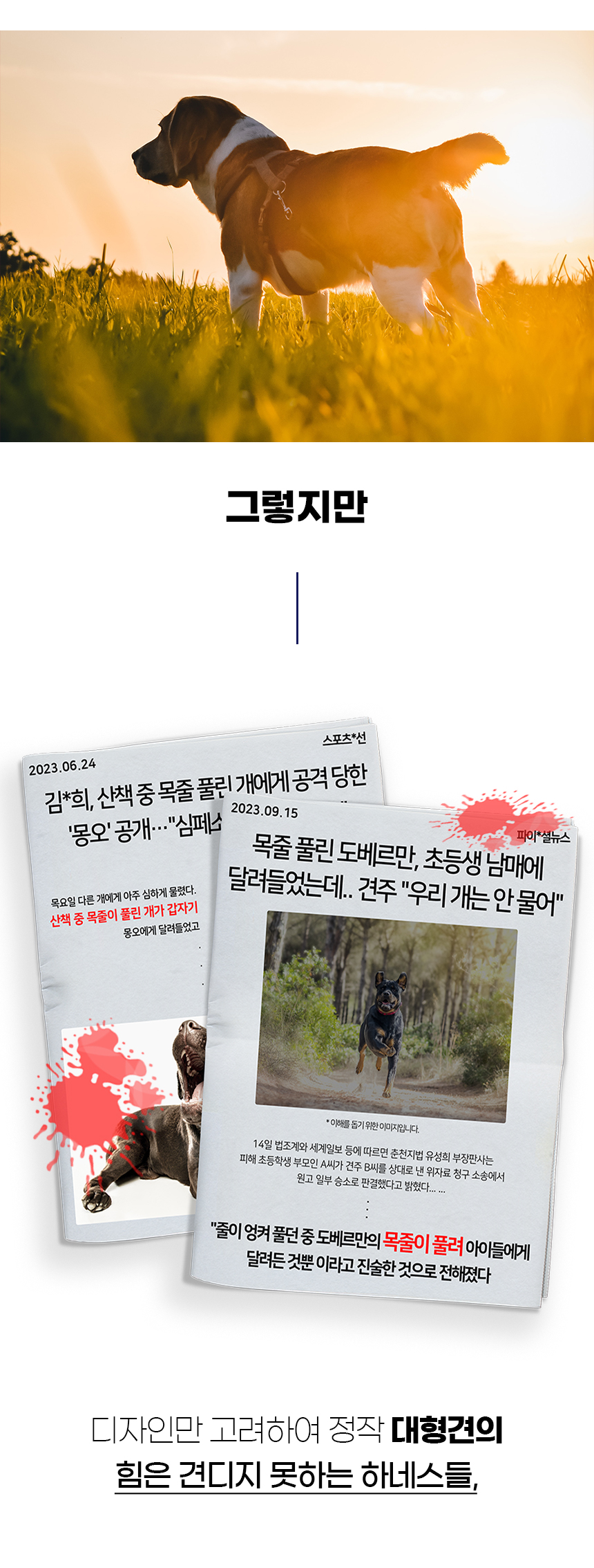 [NEW신상][무료배송] 개과천선 독 포레스트 H형 하네스 (밀리터리 네이비/밀리터리 그린/밀리터리 베이지) 2번째