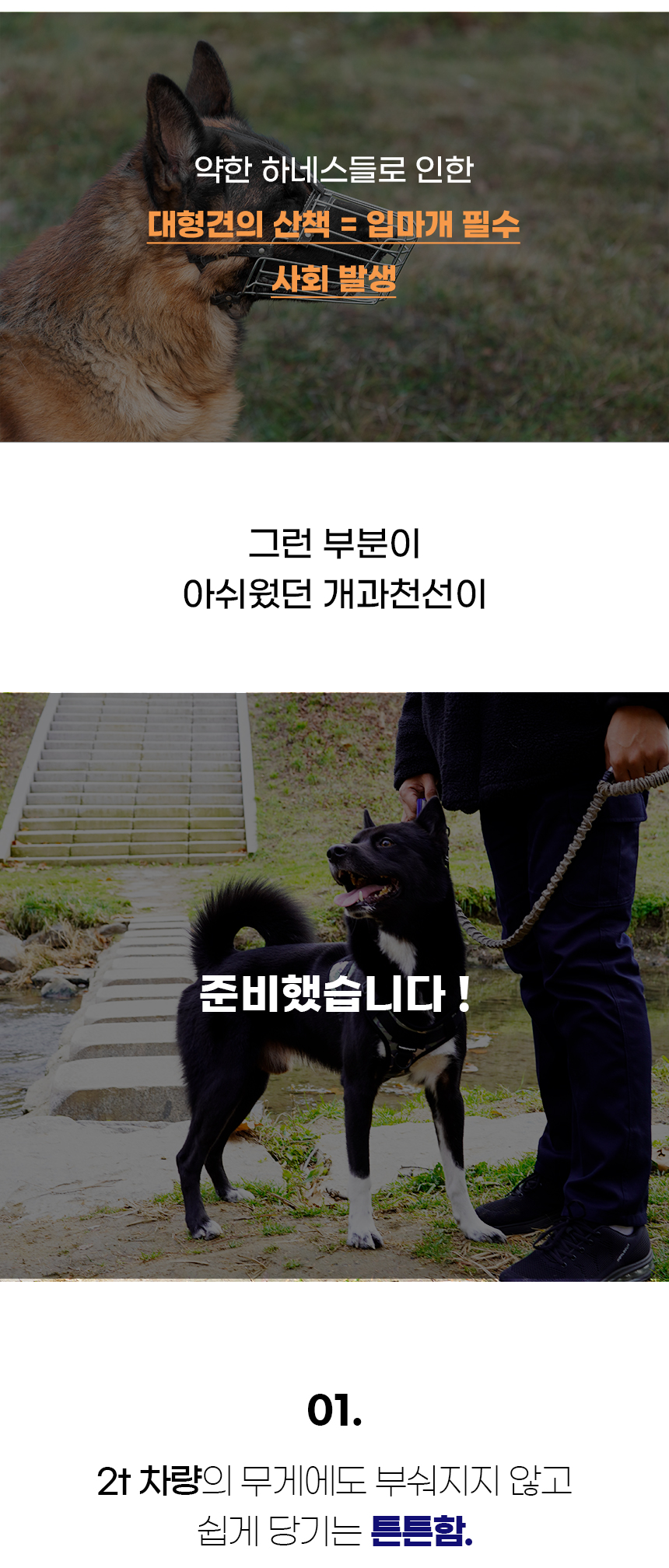 [NEW신상][무료배송] 개과천선 독 포레스트 H형 하네스 (밀리터리 네이비/밀리터리 그린/밀리터리 베이지) 3번째