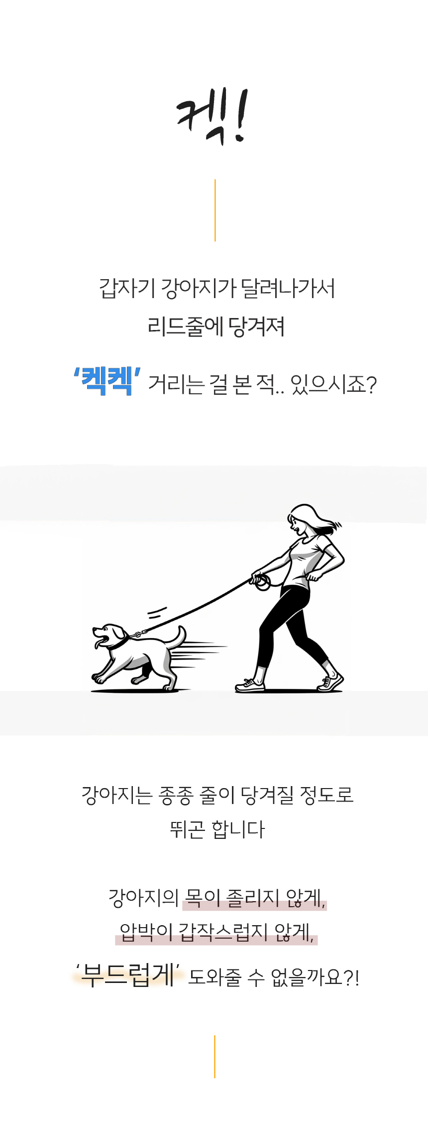 빅제로 독 켁켁방지 탄성 리드줄 반려견 목졸림 충격완화 1번째