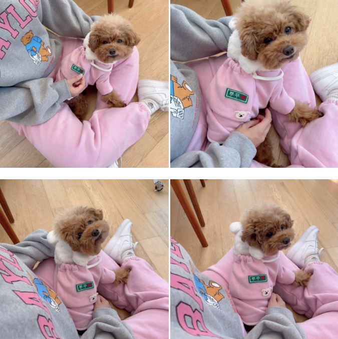 [무료배송] 찰리롤리 곰돌이 기모 후드티셔츠 핑크/아이보리 S-2XL 9번째