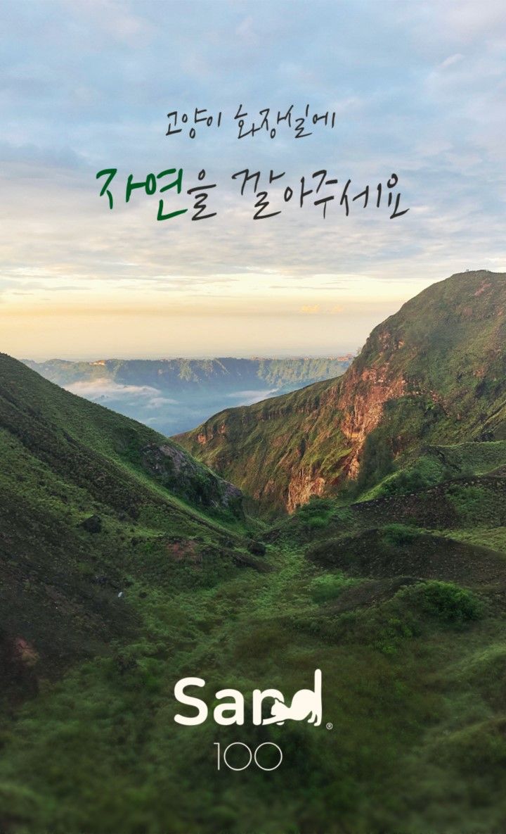 [무료배송][2개] 샌드백 프리미엄 벤토나이트 고양이 모래 9kg 1번째